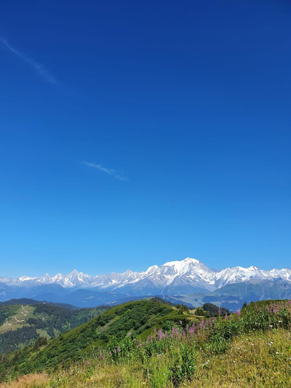 La Duchere Le Plan-la Giettaz Massif Des Aravis Apartment