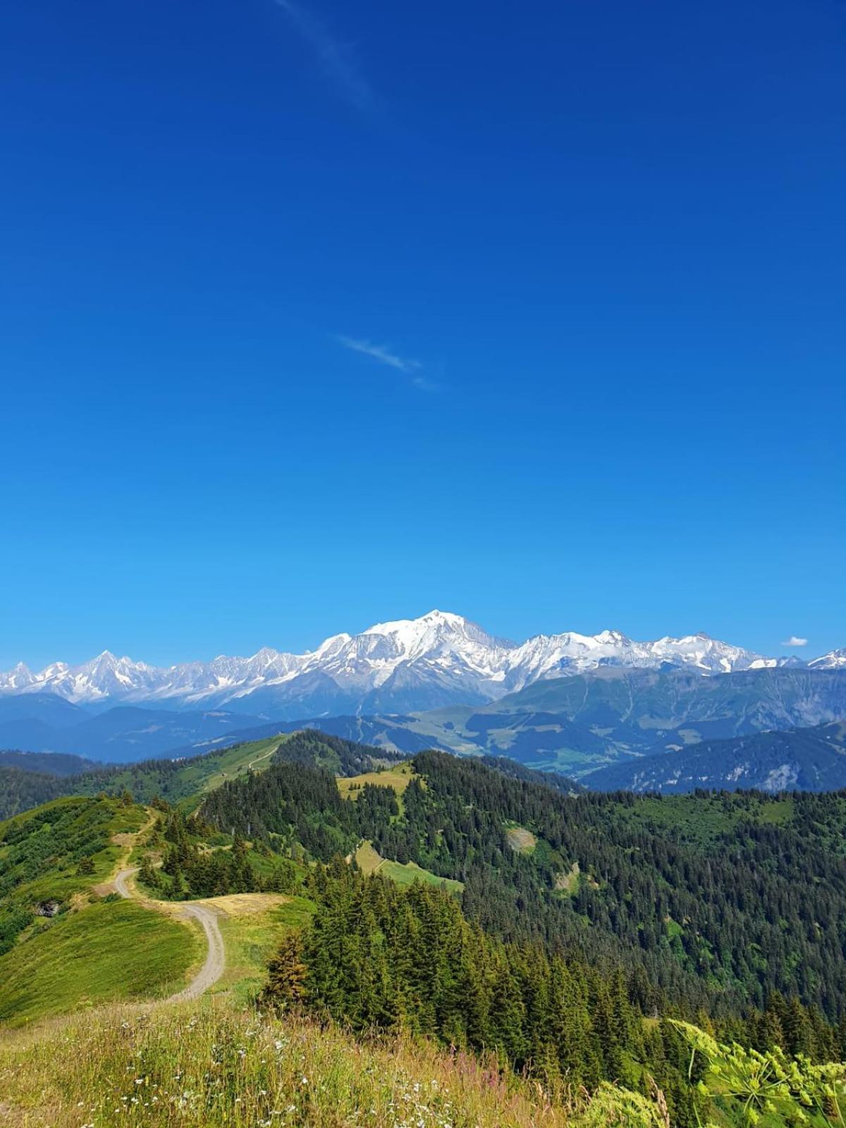 Apartment La Duchere Le Plan-la Giettaz Massif Des Aravis