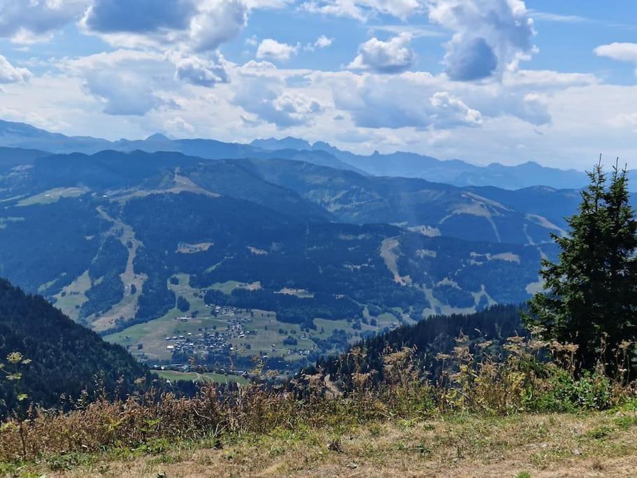 La Duchère Le Plan-la Giettaz Massif Des Aravis Appartement *