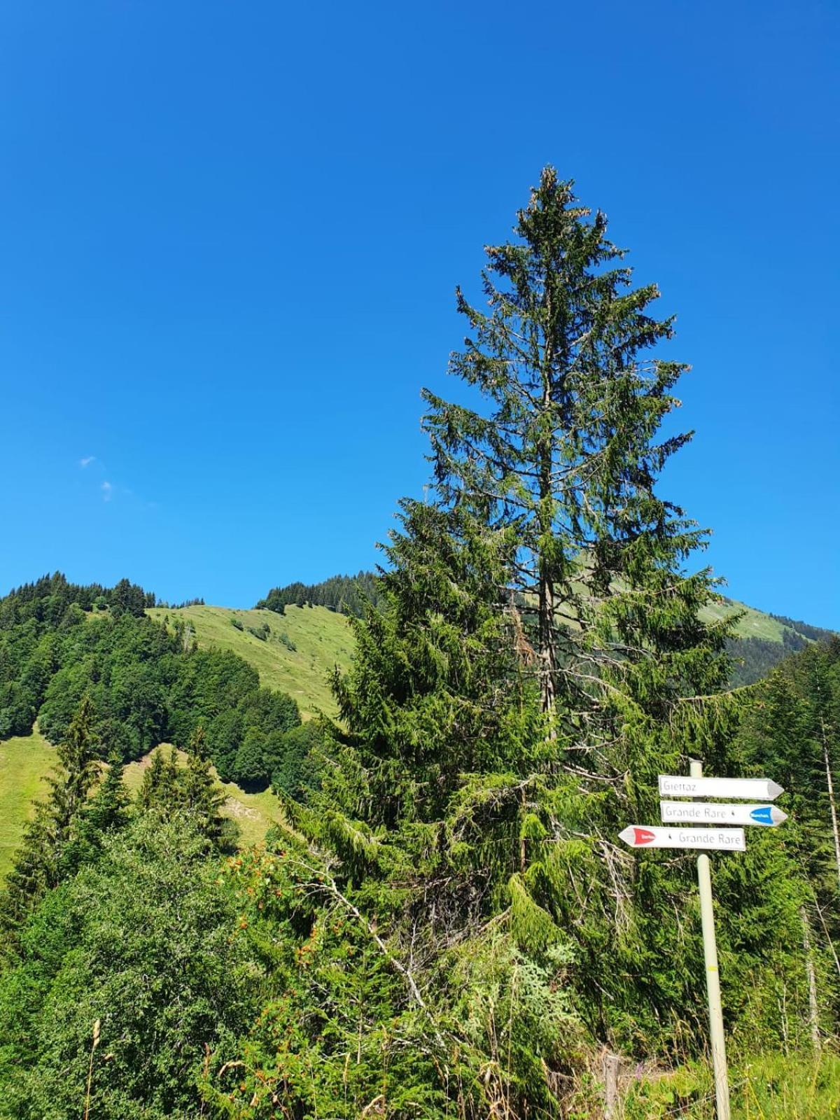 Appartement La Duchère Le Plan-la Giettaz Massif Des Aravis